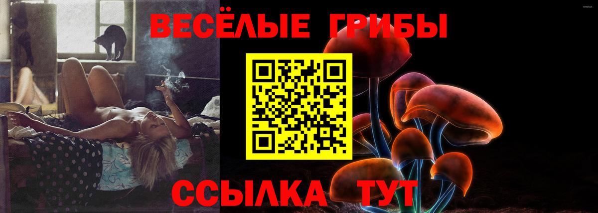 где найти   Вход с VPN  Соликамск  Псилоцибиновые грибы прущие грибы 